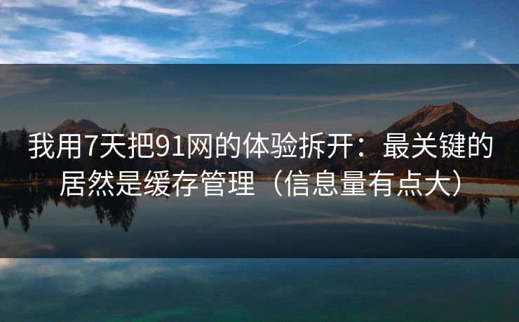 我用7天把91网的体验拆开：最关键的居然是缓存管理（信息量有点大）