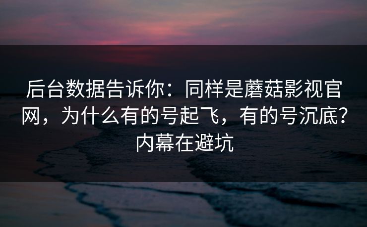 后台数据告诉你：同样是蘑菇影视官网，为什么有的号起飞，有的号沉底？内幕在避坑