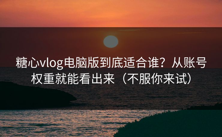 糖心vlog电脑版到底适合谁？从账号权重就能看出来（不服你来试）