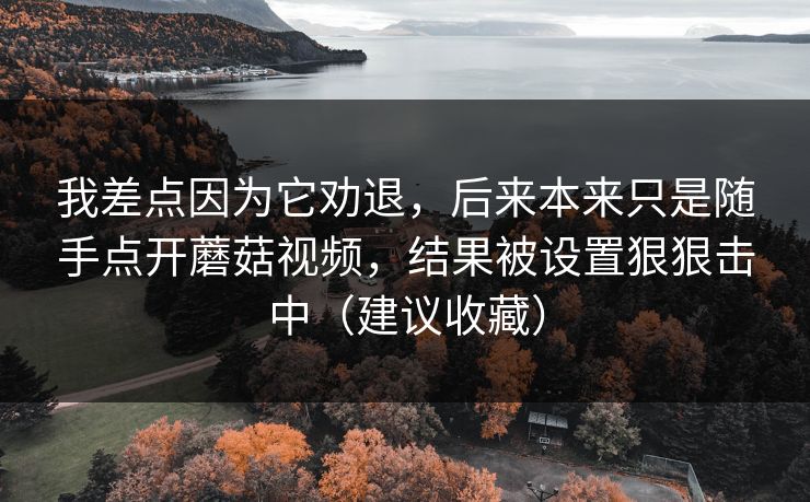 我差点因为它劝退，后来本来只是随手点开蘑菇视频，结果被设置狠狠击中（建议收藏）