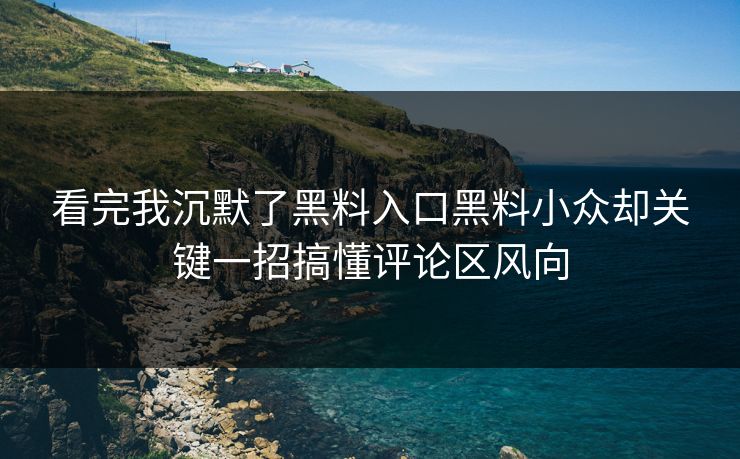 看完我沉默了黑料入口黑料小众却关键一招搞懂评论区风向